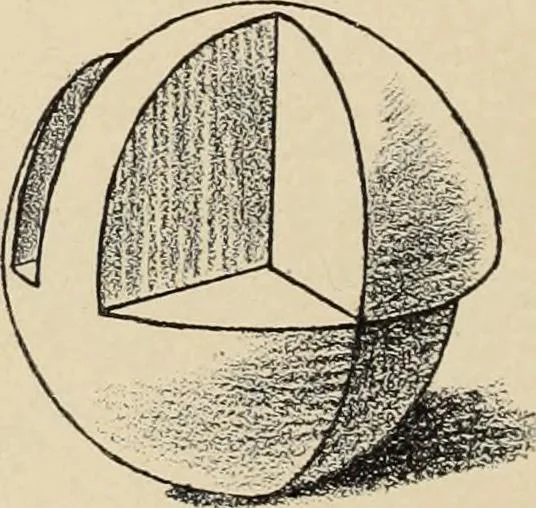An illustration from Méthode de composition ornementale, 1905, leaf 155