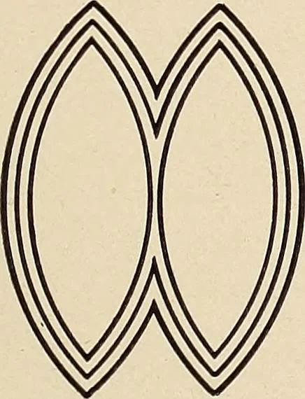 An illustration from Méthode de composition ornementale, 1905, leaf 186