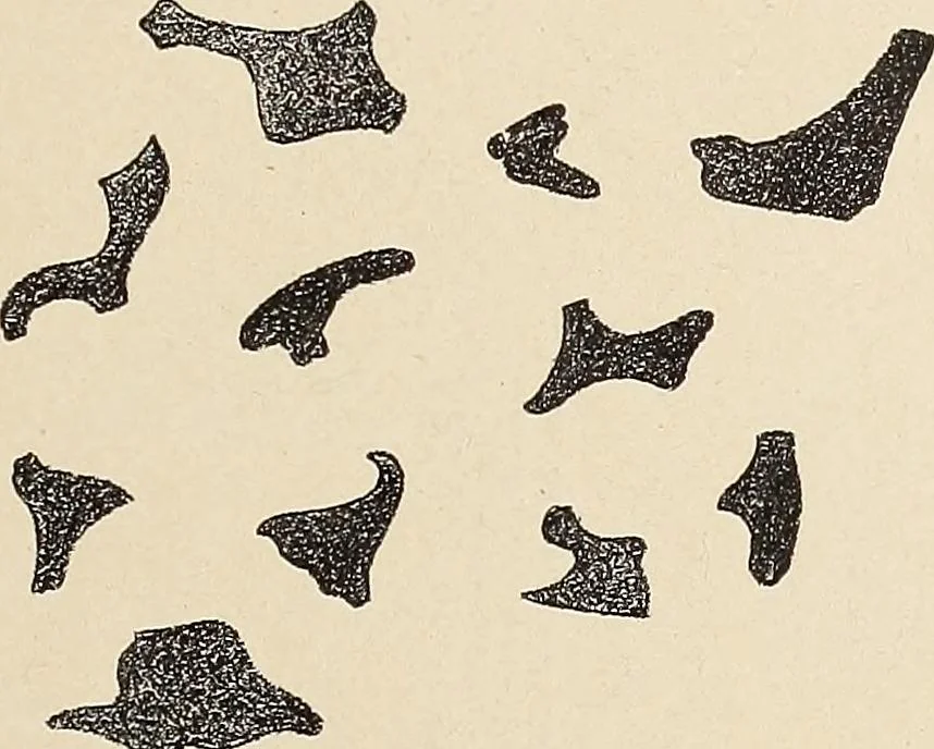 An illustration from Méthode de composition ornementale, 1905, leaf 188