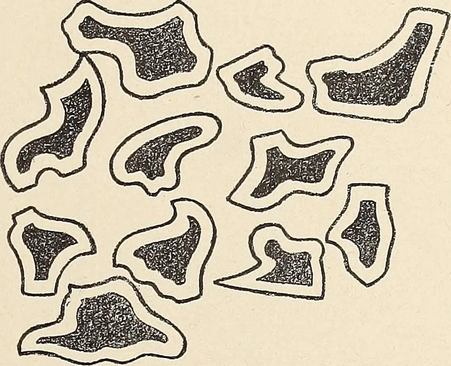 An illustration from Méthode de composition ornementale, 1905, leaf 188