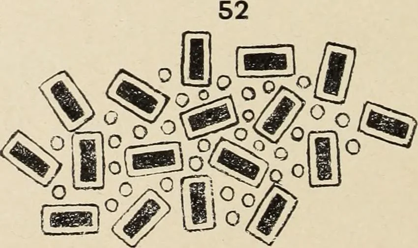 An illustration from Méthode de composition ornementale, 1905, leaf 191