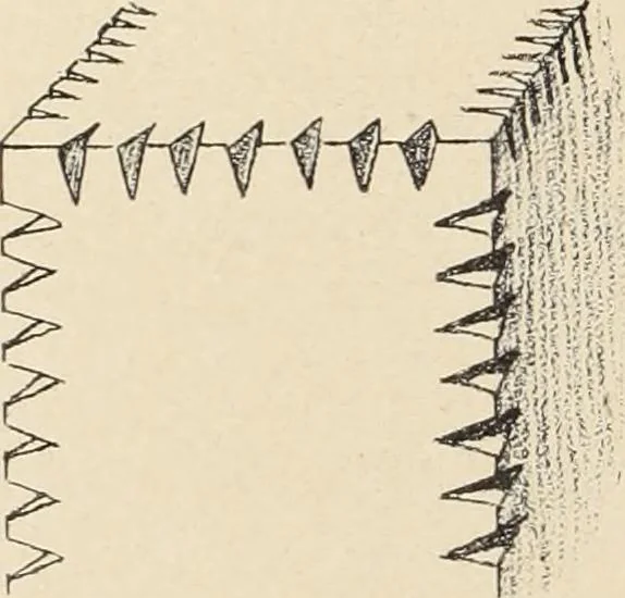 An illustration from Méthode de composition ornementale, 1905, leaf 195