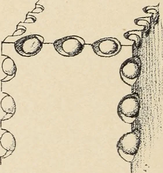 An illustration from Méthode de composition ornementale, 1905, leaf 195