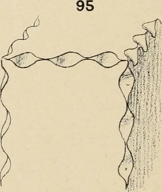 An illustration from Méthode de composition ornementale, 1905, leaf 195