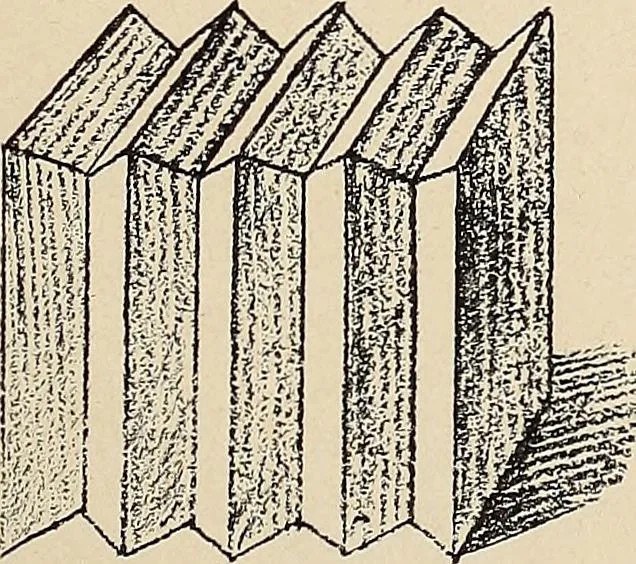 An illustration from Méthode de composition ornementale, 1905, leaf 196