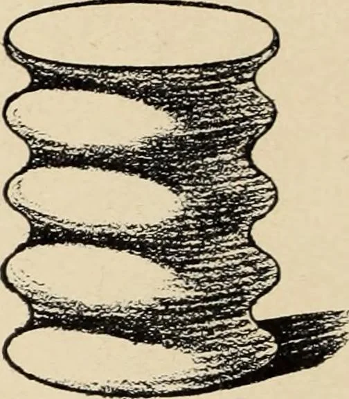 An illustration from Méthode de composition ornementale, 1905, leaf 197