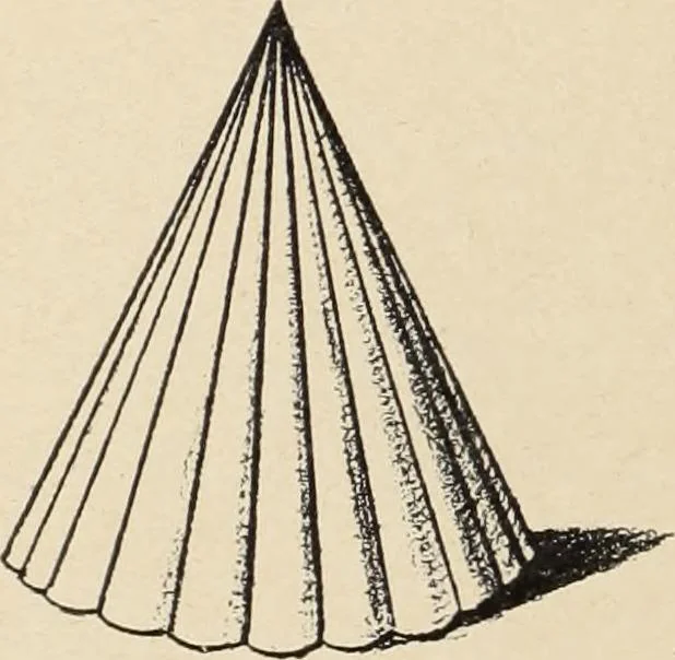 An illustration from Méthode de composition ornementale, 1905, leaf 197