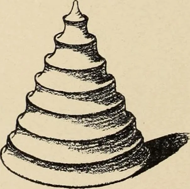 An illustration from Méthode de composition ornementale, 1905, leaf 197