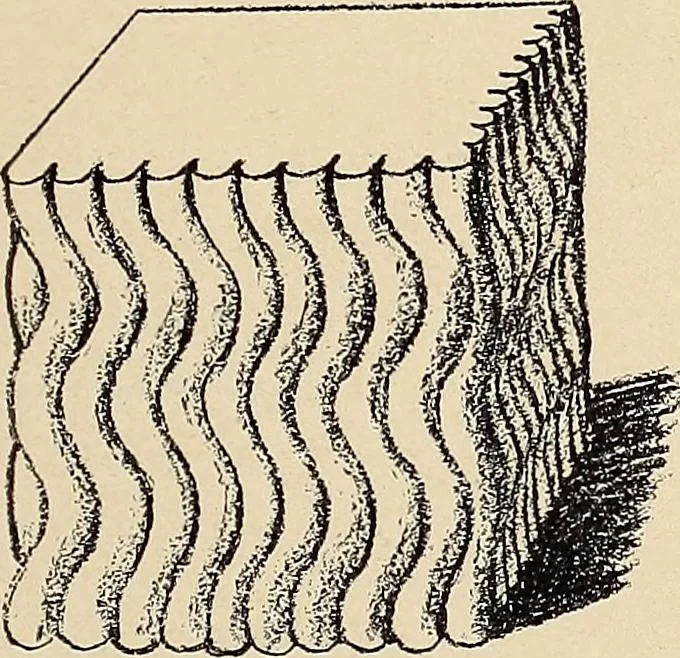 An illustration from Méthode de composition ornementale, 1905, leaf 198