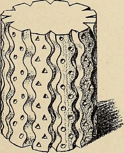 An illustration from Méthode de composition ornementale, 1905, leaf 198