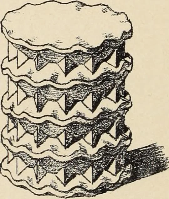 An illustration from Méthode de composition ornementale, 1905, leaf 199