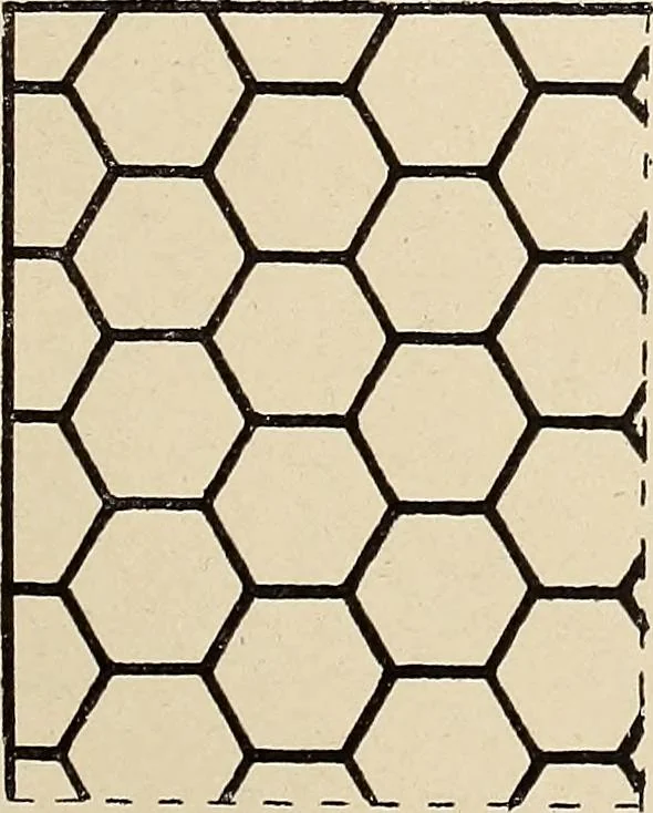 An illustration from Méthode de composition ornementale, 1905, leaf 250
