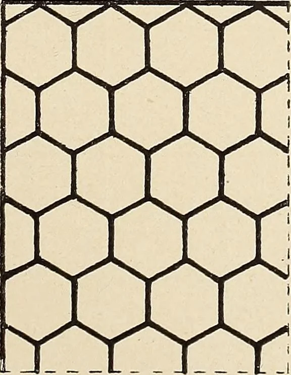 An illustration from Méthode de composition ornementale, 1905, leaf 250