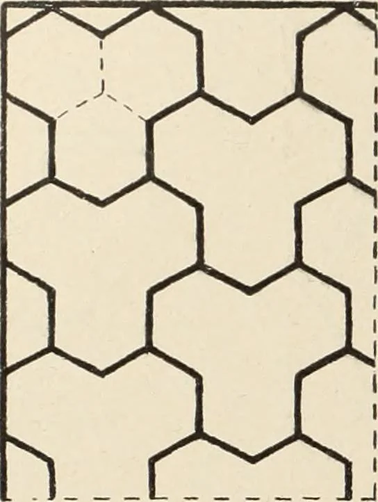An illustration from Méthode de composition ornementale, 1905, leaf 251