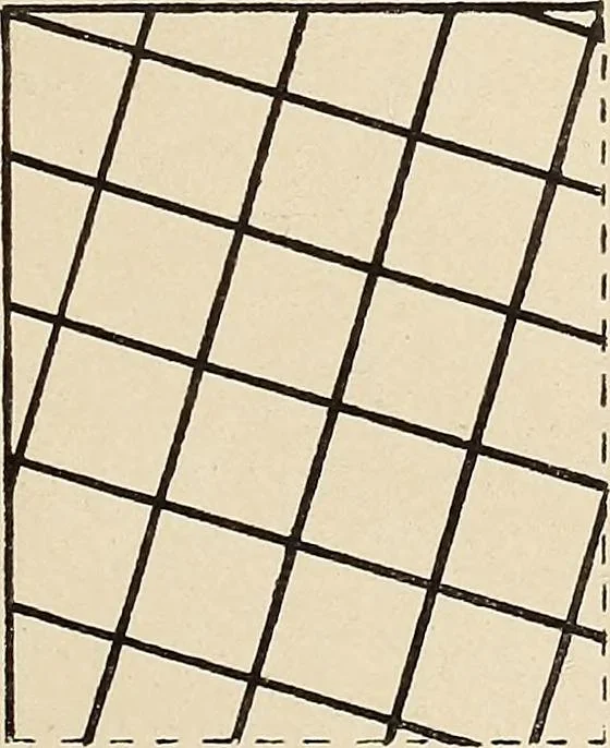 An illustration from Méthode de composition ornementale, 1905, leaf 254