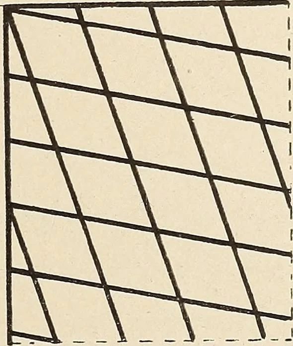 An illustration from Méthode de composition ornementale, 1905, leaf 254