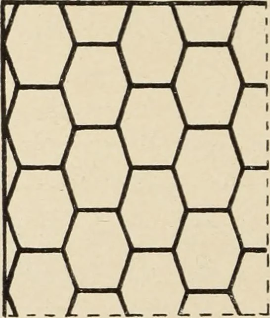 An illustration from Méthode de composition ornementale, 1905, leaf 257
