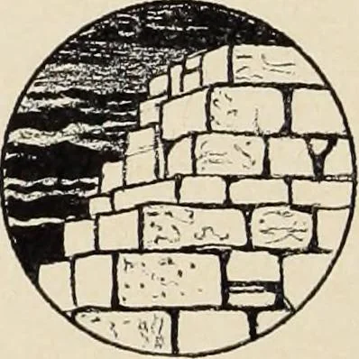 An illustration from Méthode de composition ornementale, 1905, leaf 29