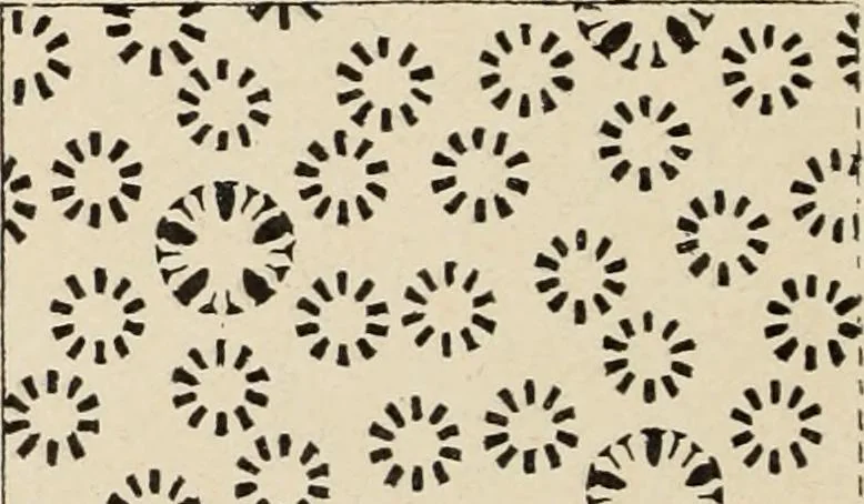 An illustration from Méthode de composition ornementale, 1905, leaf 297