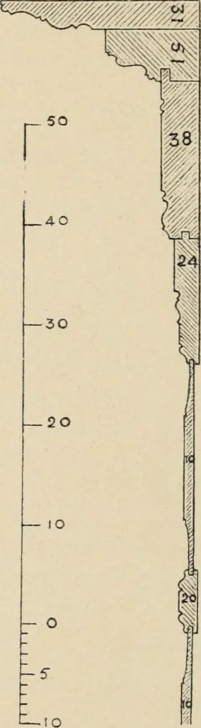 An illustration from Méthode de composition ornementale, 1905, leaf 347