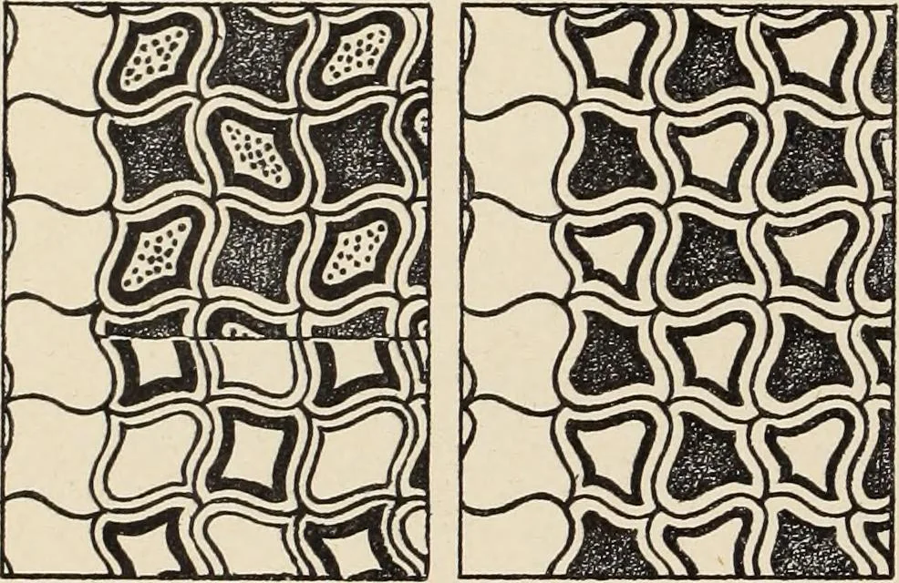 An illustration from Méthode de composition ornementale, 1905, leaf 389