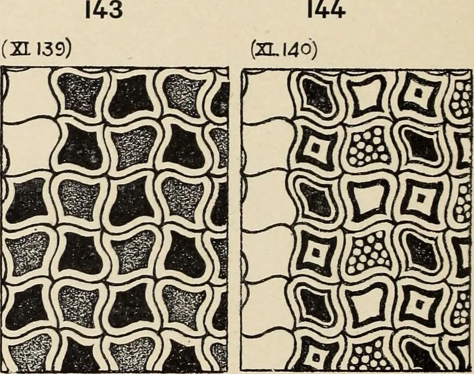 An illustration from Méthode de composition ornementale, 1905, leaf 389