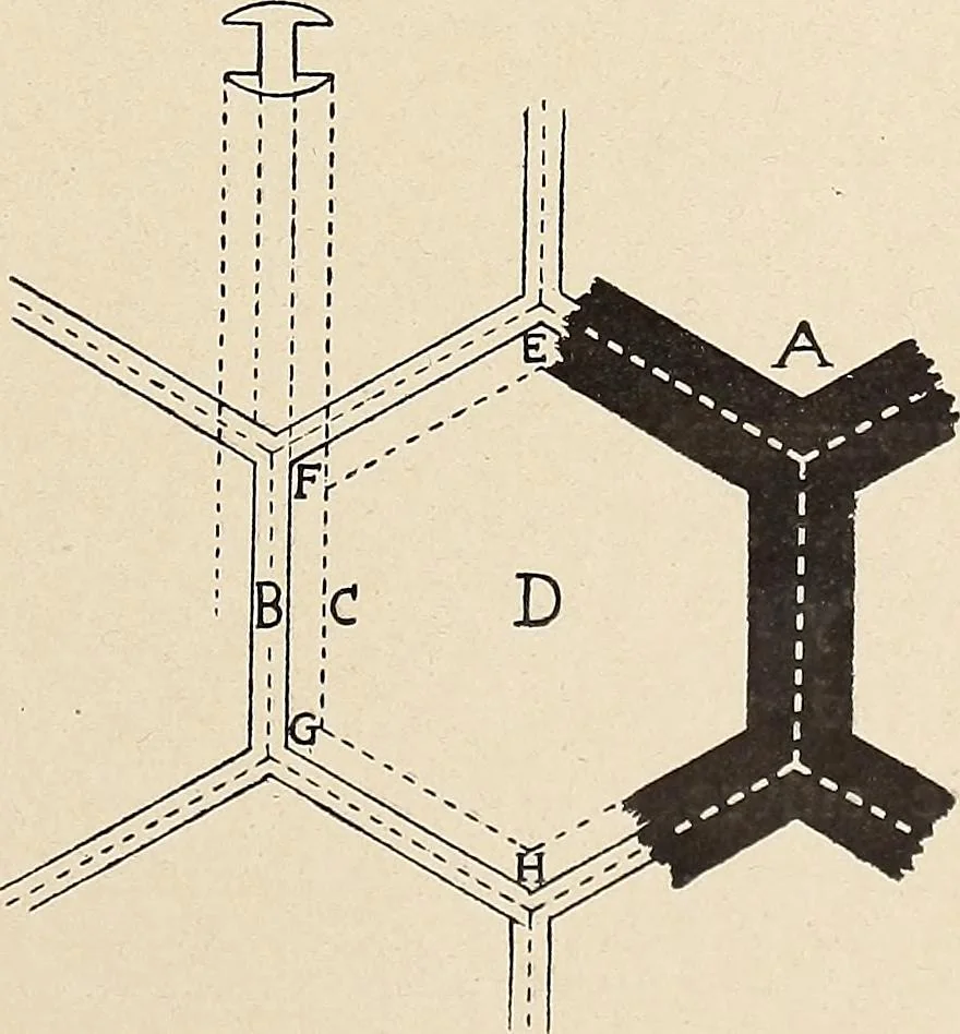 An illustration from Méthode de composition ornementale, 1905, leaf 400