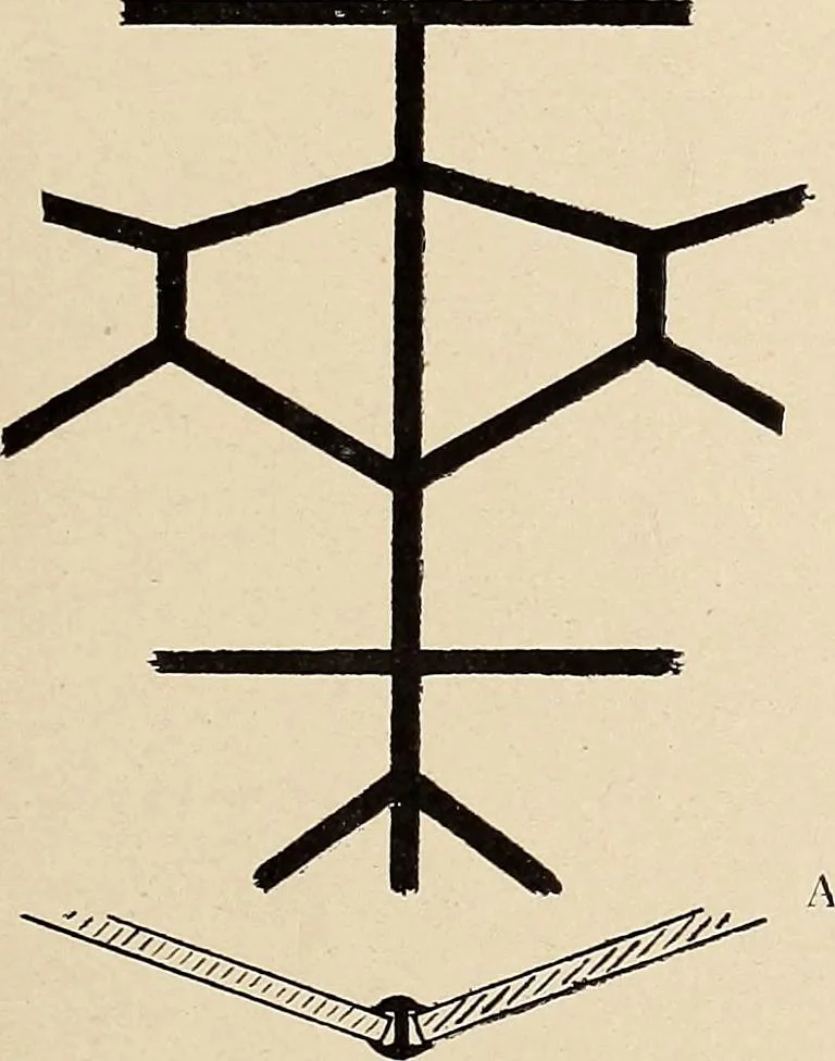 An illustration from Méthode de composition ornementale, 1905, leaf 402