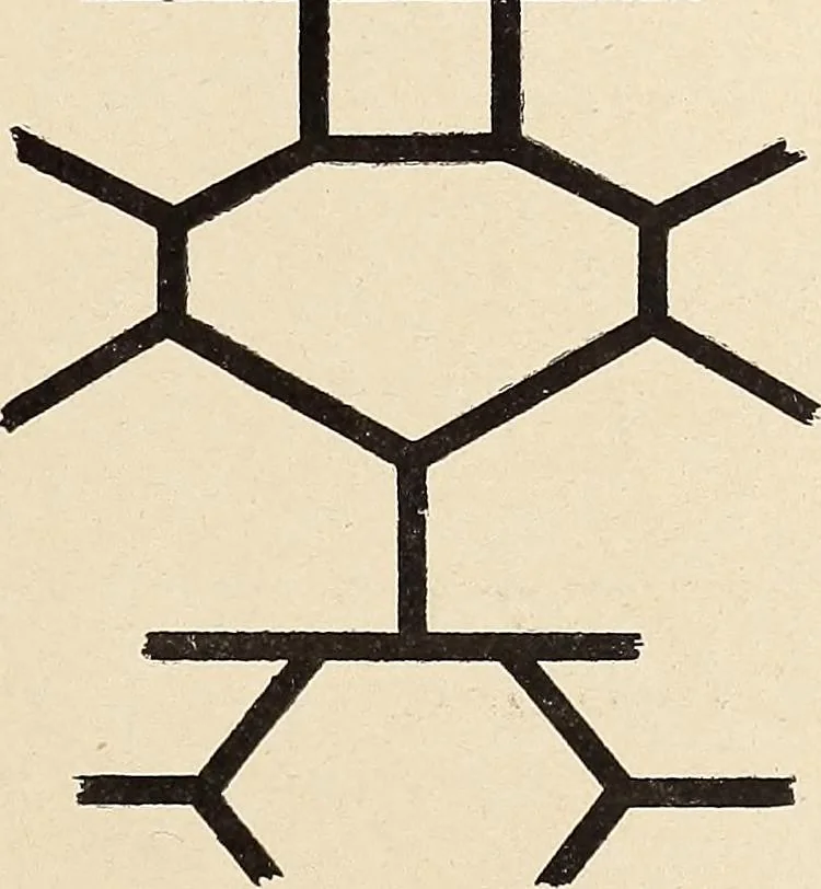 An illustration from Méthode de composition ornementale, 1905, leaf 402