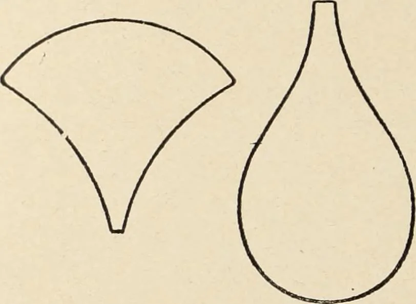 An illustration from Méthode de composition ornementale, 1905, leaf 405