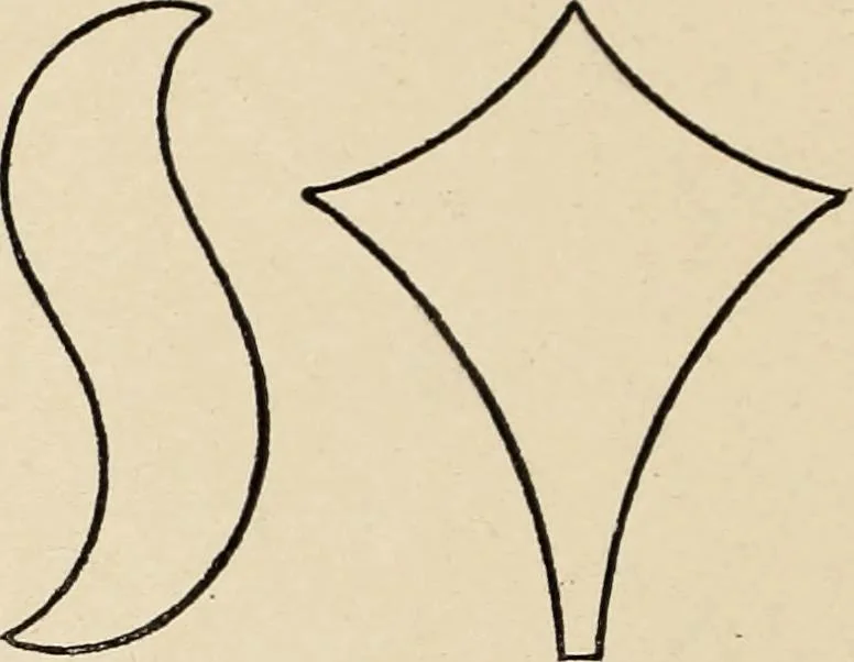 An illustration from Méthode de composition ornementale, 1905, leaf 405