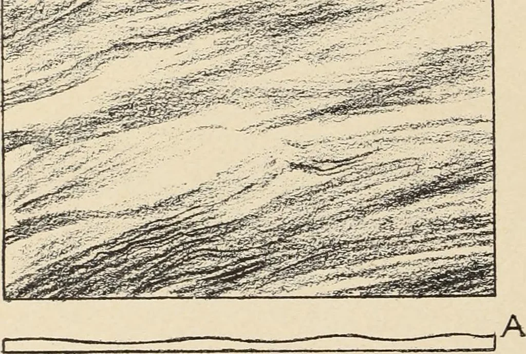 An illustration from Méthode de composition ornementale, 1905, leaf 409