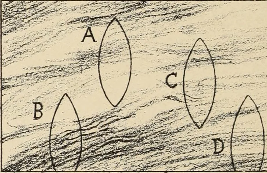 An illustration from Méthode de composition ornementale, 1905, leaf 409