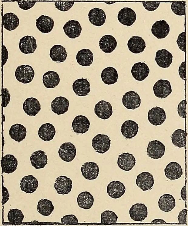 An illustration from Méthode de composition ornementale, 1905, leaf 42