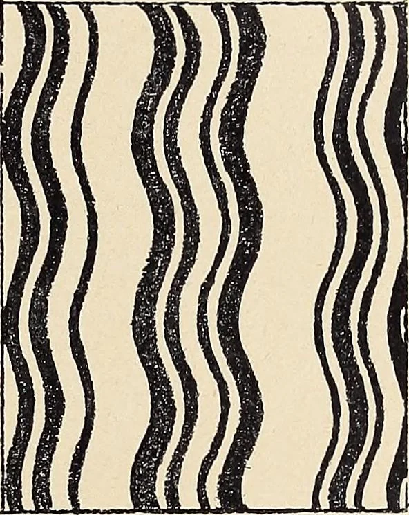 An illustration from Méthode de composition ornementale, 1905, leaf 52