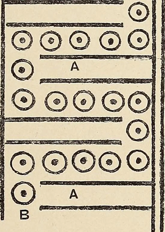 An illustration from Méthode de composition ornementale, 1905, leaf 74