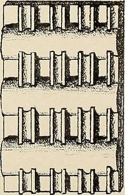 An illustration from Méthode de composition ornementale, 1905, leaf 82