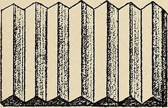 An illustration from Méthode de composition ornementale, 1905, leaf 84