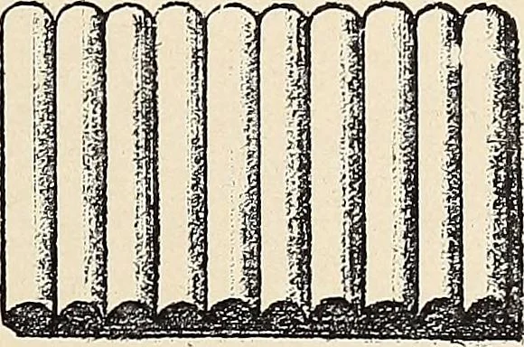 An illustration from Méthode de composition ornementale, 1905, leaf 84