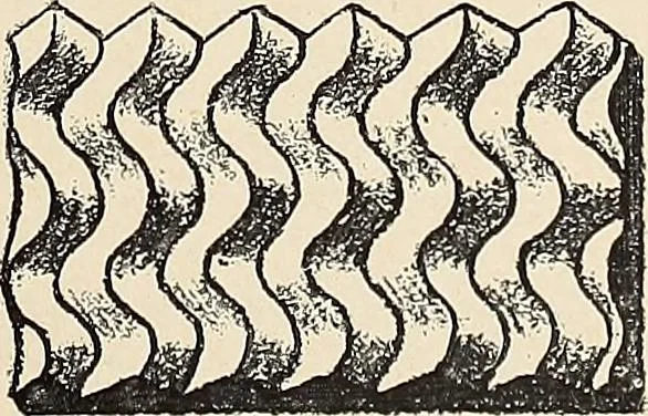 An illustration from Méthode de composition ornementale, 1905, leaf 84