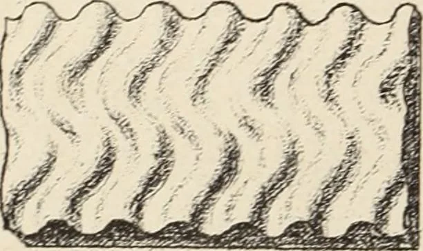 An illustration from Méthode de composition ornementale, 1905, leaf 85