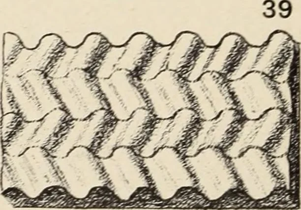 An illustration from Méthode de composition ornementale, 1905, leaf 85