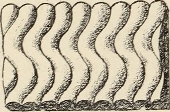 An illustration from Méthode de composition ornementale, 1905, leaf 85
