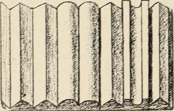 An illustration from Méthode de composition ornementale, 1905, leaf 85