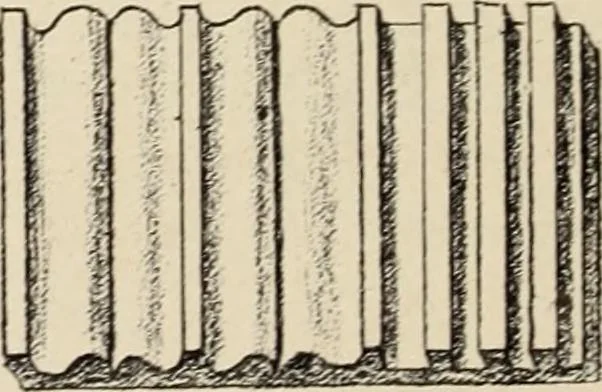 An illustration from Méthode de composition ornementale, 1905, leaf 85