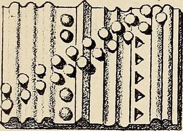 An illustration from Méthode de composition ornementale, 1905, leaf 86