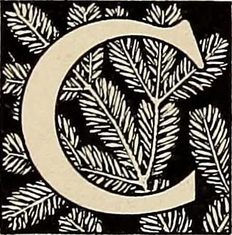 An illustration from Méthode de composition ornementale, 1905, leaf 88
