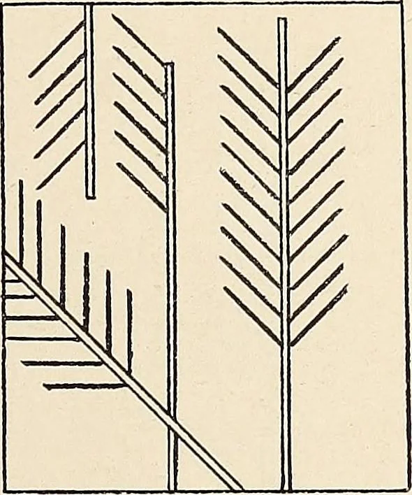 An illustration from Méthode de composition ornementale, 1905, leaf 92