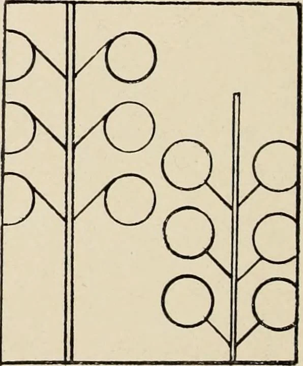 An illustration from Méthode de composition ornementale, 1905, leaf 93