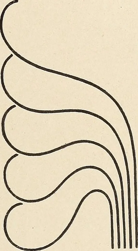 An illustration from Méthode de composition ornementale, 1905, leaf 100